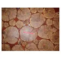 Каждый деревянный спил уникален, как и предметы декора сделанные из них