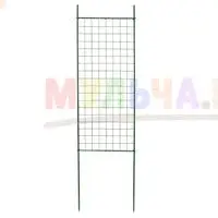 Вьющиеся растения украсят загородный дом и участок