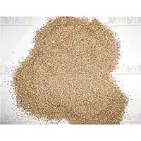 Полевица Побегоносная - идеальная газонная трава