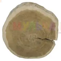 Крупные шлифованные спилы из натурального дуба