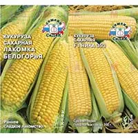 Царица полей кукуруза на вашем участке