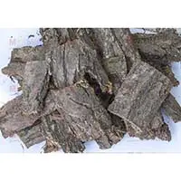 Кора дуба: не только лекарство, но и мульча