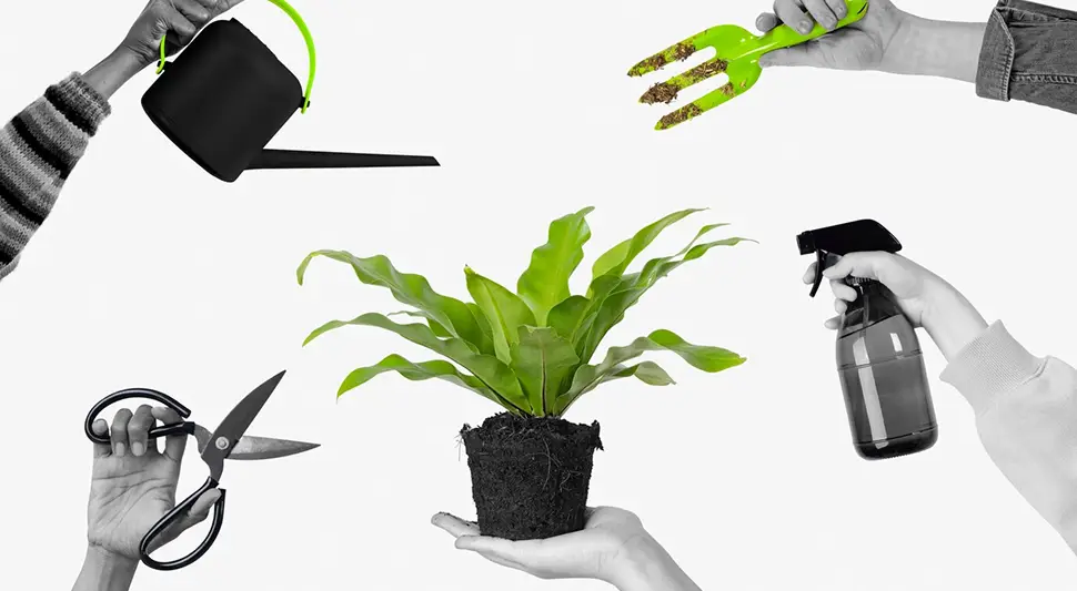 Какая лампа нужна для рассады: виды и критерии выбора