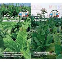 Свой табак на участке: экономьте на сигаретах!