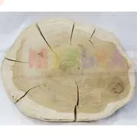 Декоративные спилы дуба - красота настоящего дерева