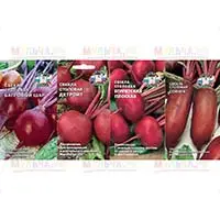 Семена свеклы проверенных урожайный сортов