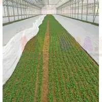 Нетканое агроволокно Агротекс упростит уход за растениями