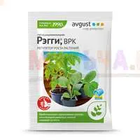 Рэгги – зачем нужно «сдерживать» рост рассады