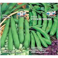 Семена бобов - урожайные сорта для климата средней полосы