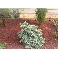 Идеальные материалы для Идеального ремонта