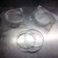 Удобная емкость с крышкой для проращивания семян