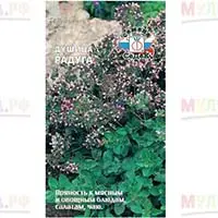 Душица: ароматная, вкусная, целебная