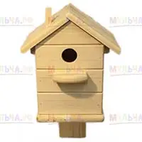 Как выбрать и повесить скворечник?