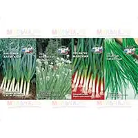 Порей, батун и другие виды лука в нашем магазине