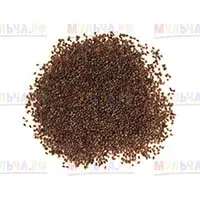 Люцерна - ценнейшая кормовая культура и эффективный сидерат