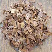 Как упростить уход за растениями? Просто замульчируйте их корой сосны